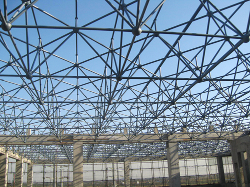 Binhai high-tech zone International Exchange Center Project steel rack roofing project